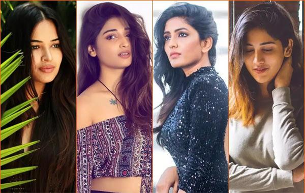 Stars, Directors Mindset Is A Curse For Them