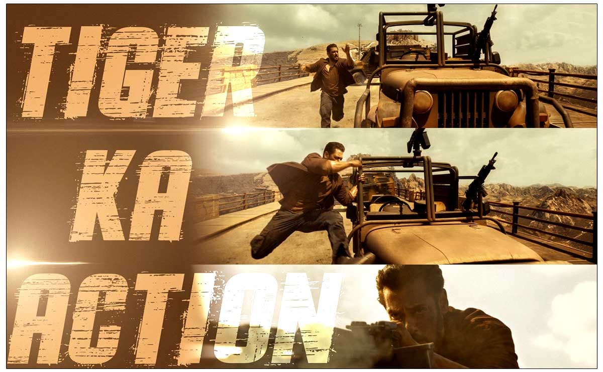 Director on Salman Tiger 3 act