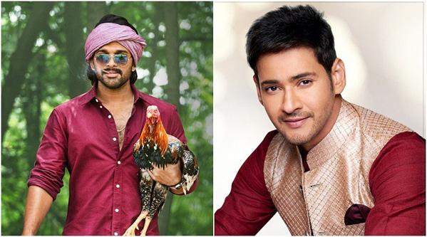 Only Mahesh, Bunny Did Not Touch Them!