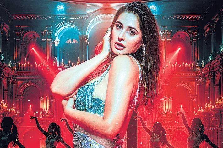 Trinadha Rao Nakkina praises Nargis Fakhri