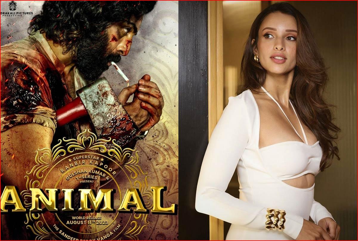 Tripti Dimri on Animal controversy
