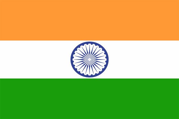 Use only paper National Flags on I-Day: AP Govt