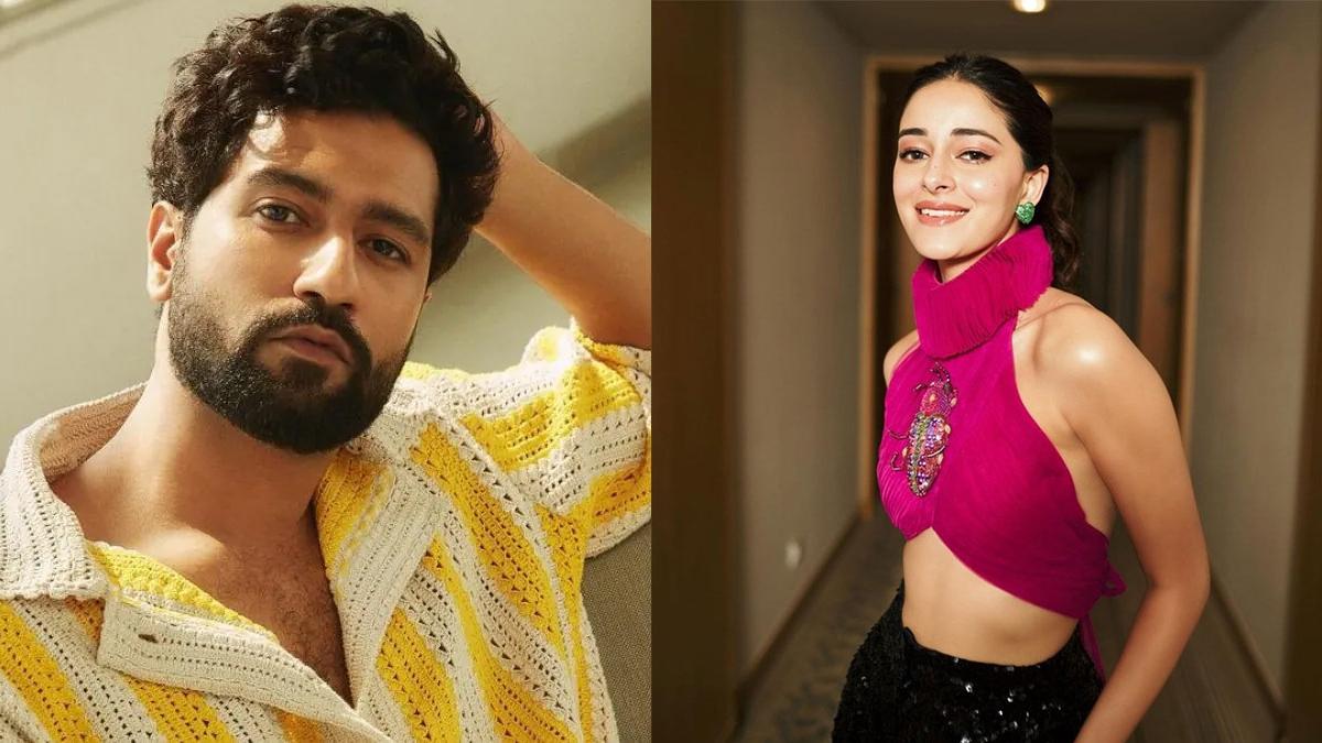 Gully Boy Sequel with Vicky Kaushal and Ananya Panday