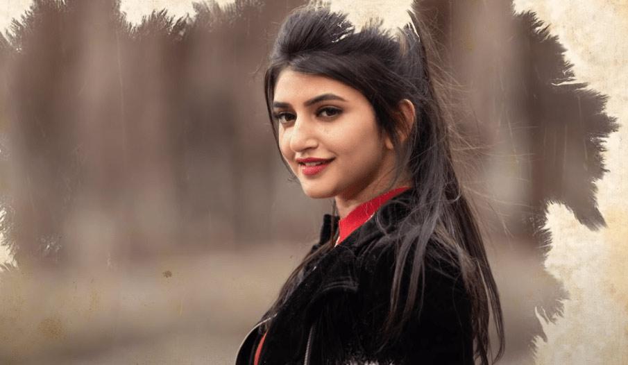Speculation on DJ  Tillu sequel heroine