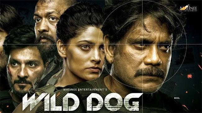 Chiru, Holiday Could't Help Wild Dog