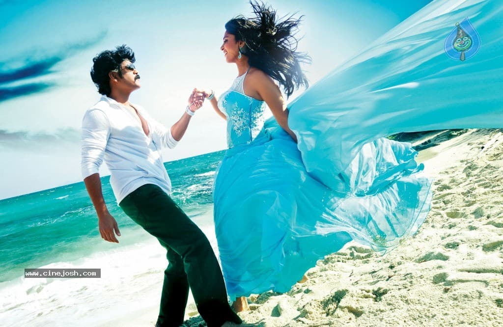 CineJosh gallery photo