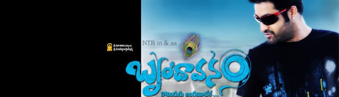 Brindavanam Movie Review (First on Net)