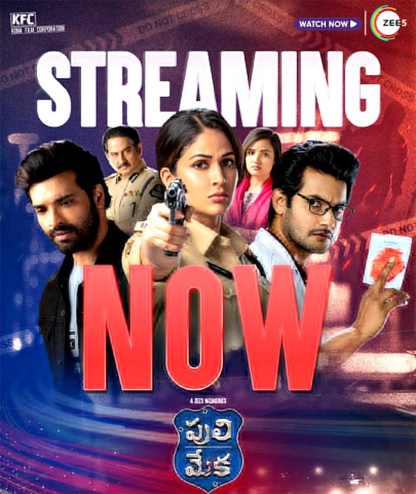 Puli Meka Web Series Review