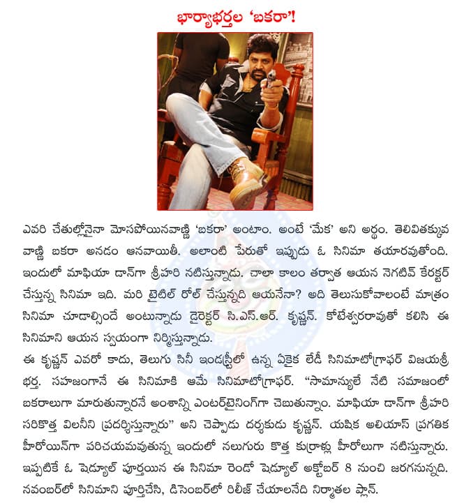 CineJosh news