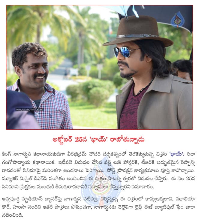 CineJosh news