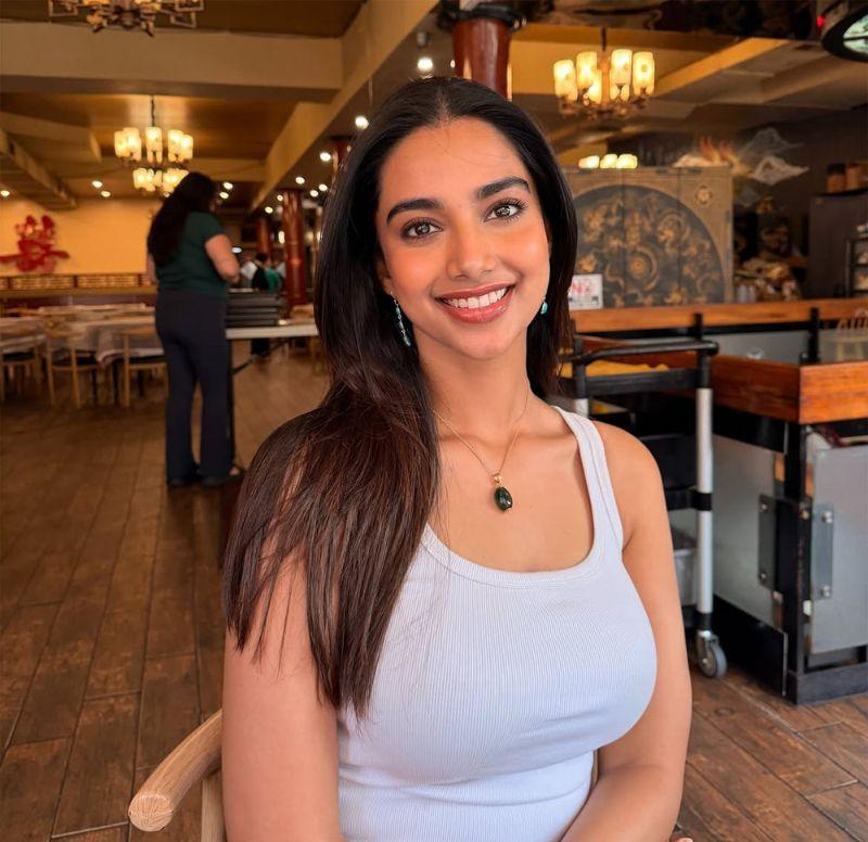 Meenakshi Chaudhary's Stylish Chicago Vacation