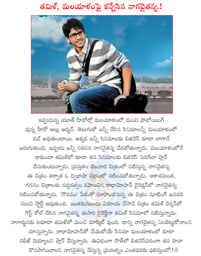 CineJosh news