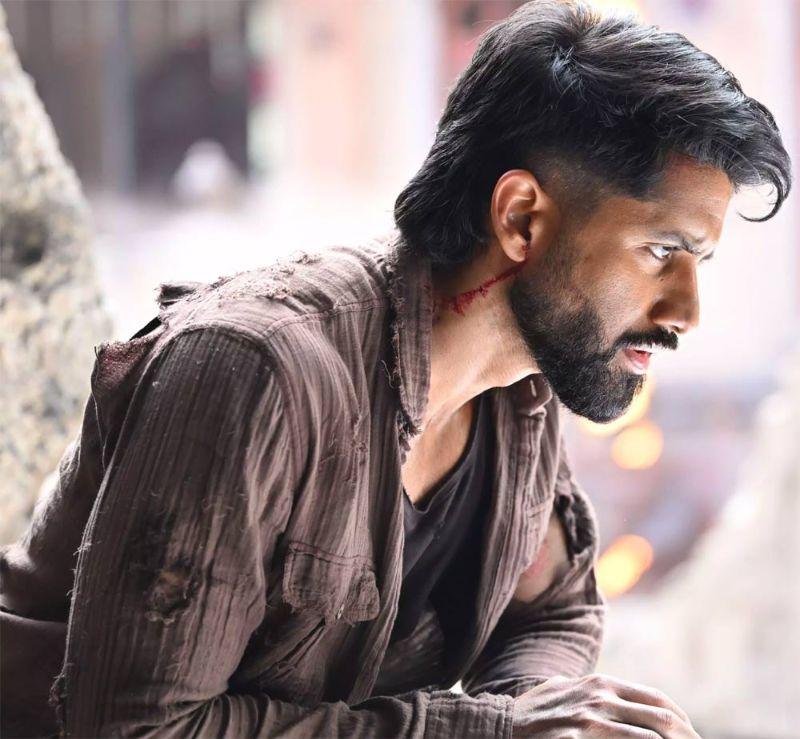 Hero Naga Chaitanya - Vrushakarma 