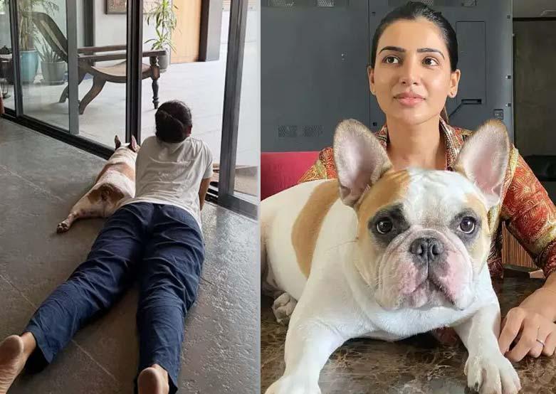 Naga Chaitanya shares photo of Sobhita chilling with Hash