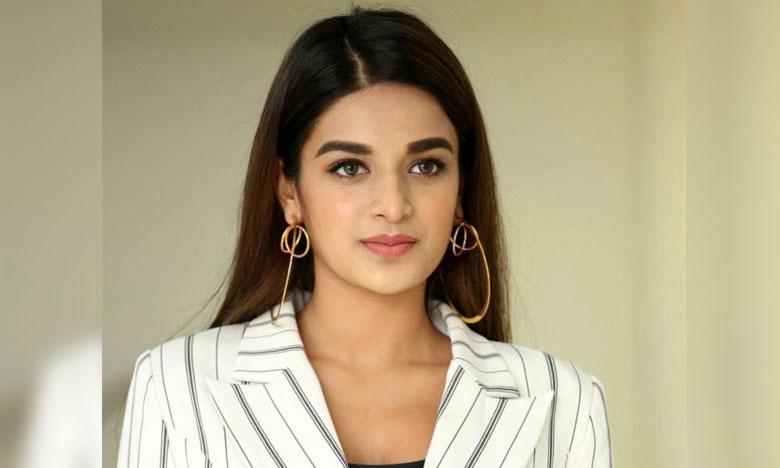 Nidhi Agarwal-Shimbu likely marriage news goes viral