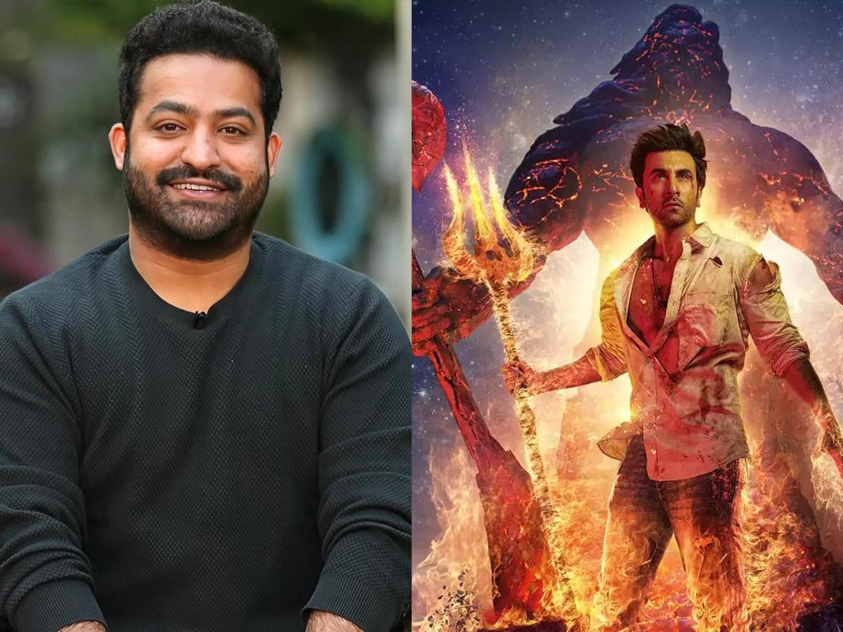 NTRForBrahmastra vs BoyCottBrahmastra
