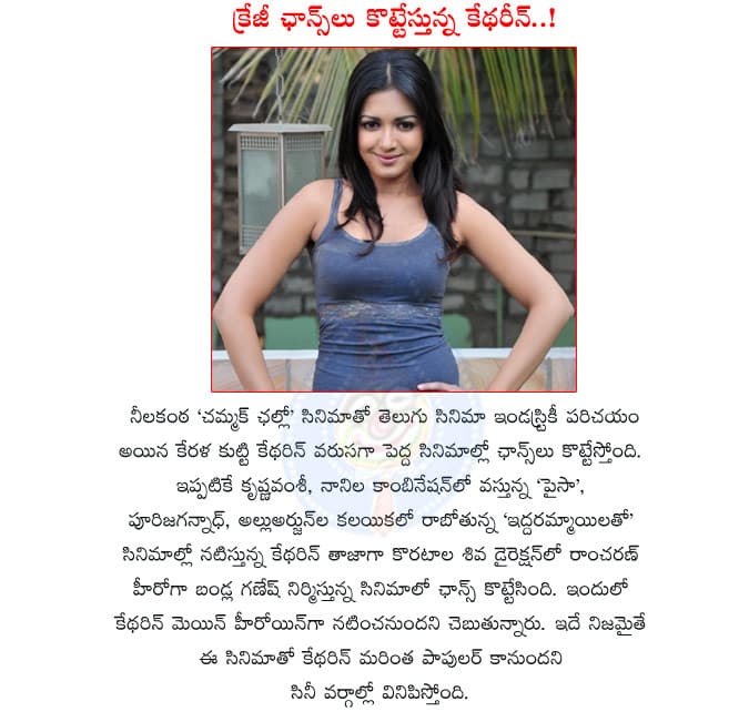 CineJosh news