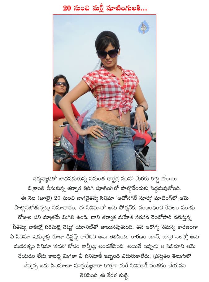 CineJosh news