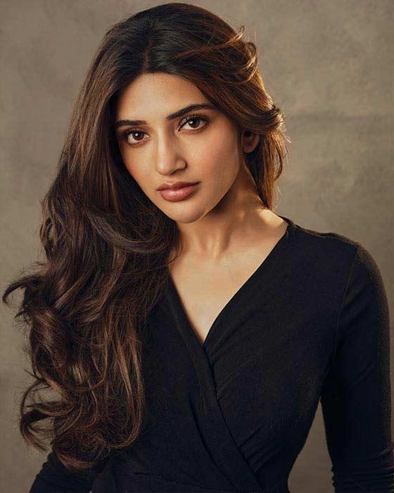 Sreeleela First Salary in Bollywood