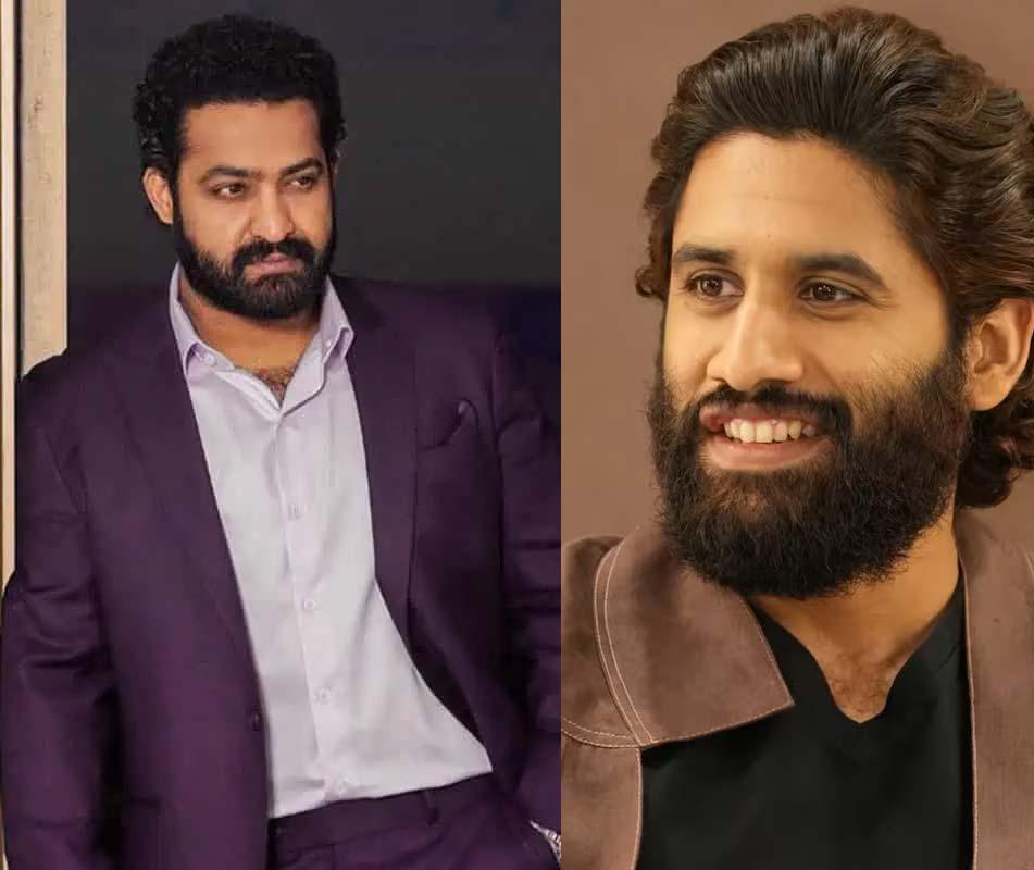 Thanks to NTR - Naga Chaitanya