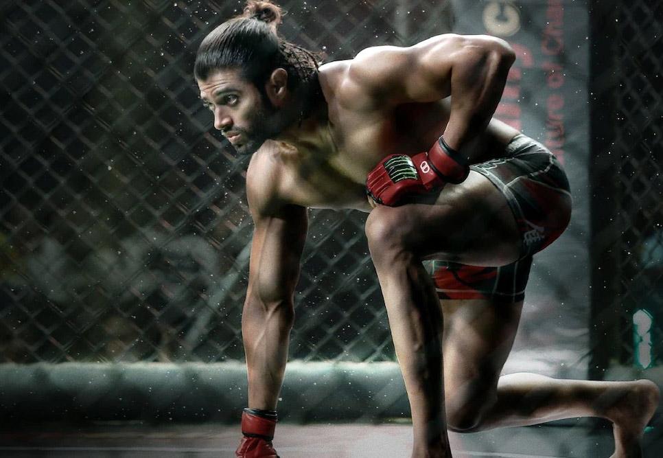 Vijay Deverakonda, Ananya Pandey Liger gets disastrous collections