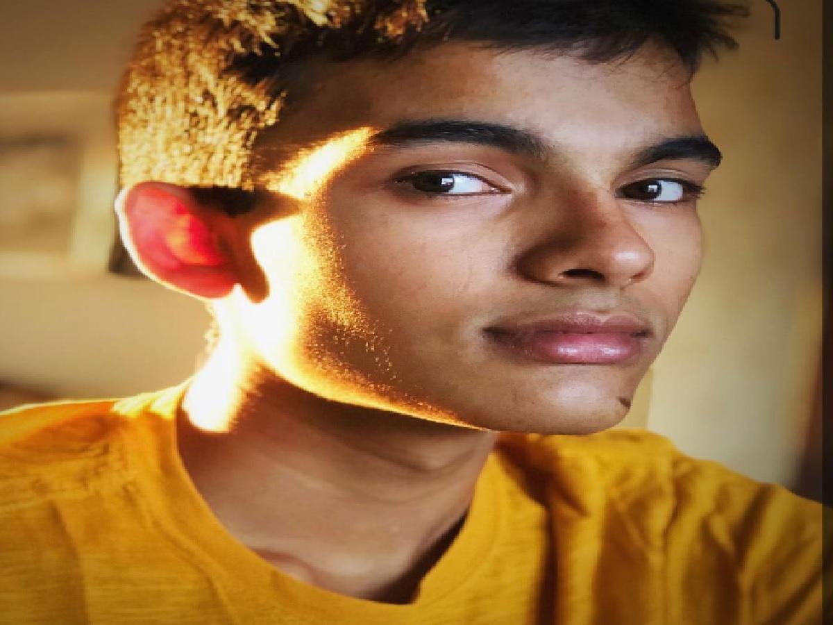 Vakeel Saab: Akira's Cameo?