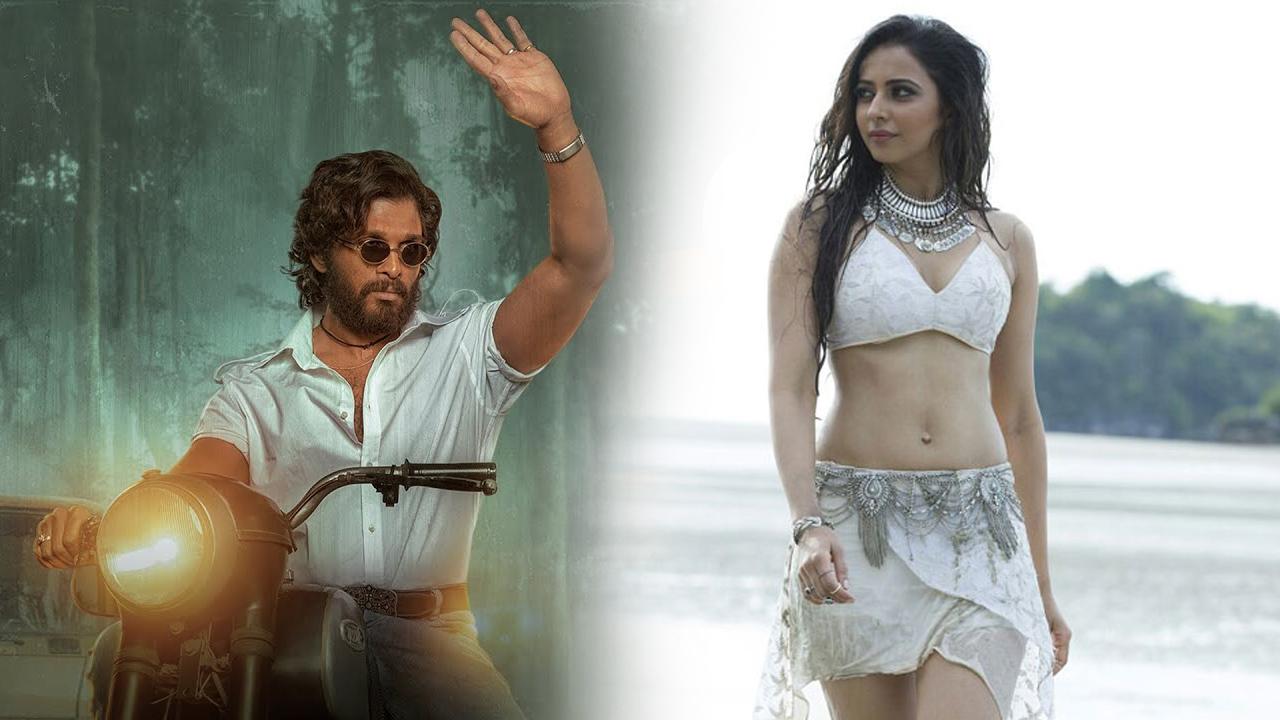 Rakul Preet Singh raves about Pushpa
