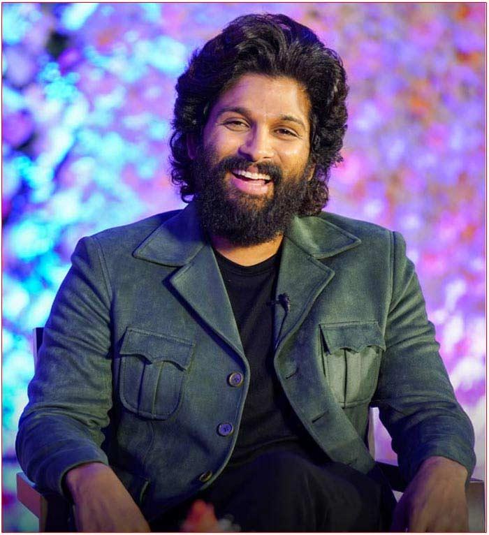 Allu Arjun views on Bollywood-South divide