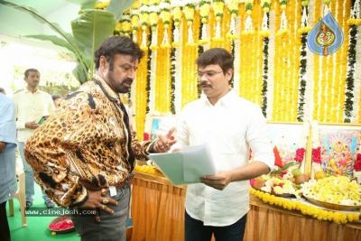 Will Balakrishna Fill New Wine?