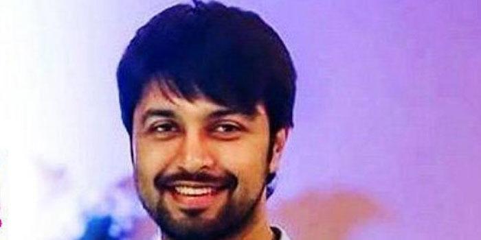 Get Ready for Mega Alludu Grand Entry