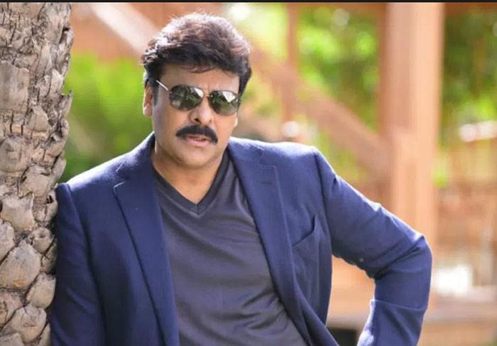 No More Politics, Mega Star
