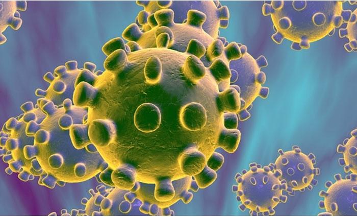 Corona Cases: State Wise Number of Cases