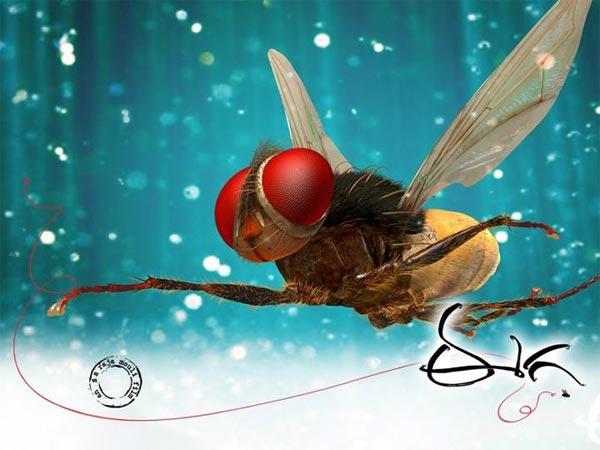 Eega @ Overflowing Nandis!