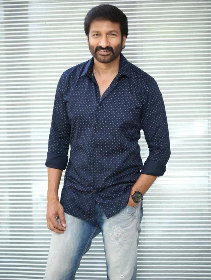 Ramabanam is a complete action-packed family entertainer : Gopichand