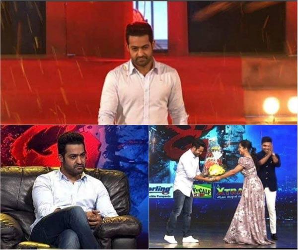 NTR To Roar Again On Small Screen