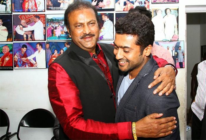 Collection King, Right Choice For Surya