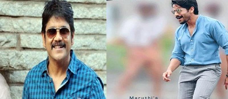 Chaitu Bigger Than Nagarjuna?