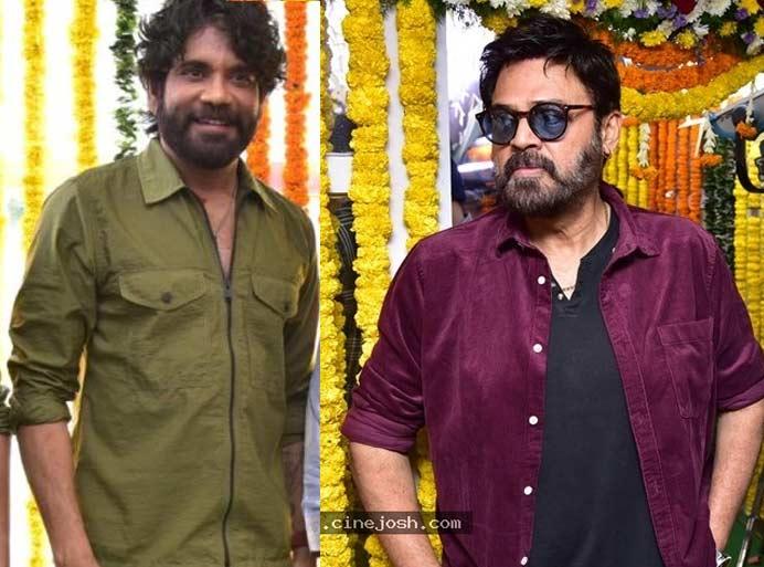 Nagarjuna, Venkatesh are keen on action flicks