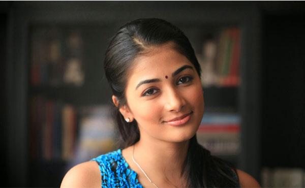 Harish to Make Pooja Like Shruti!