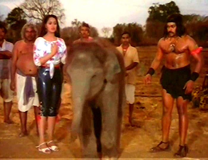 Potta & Big Butt Reason for That Hero Not Done Adavidonga of Chiru?