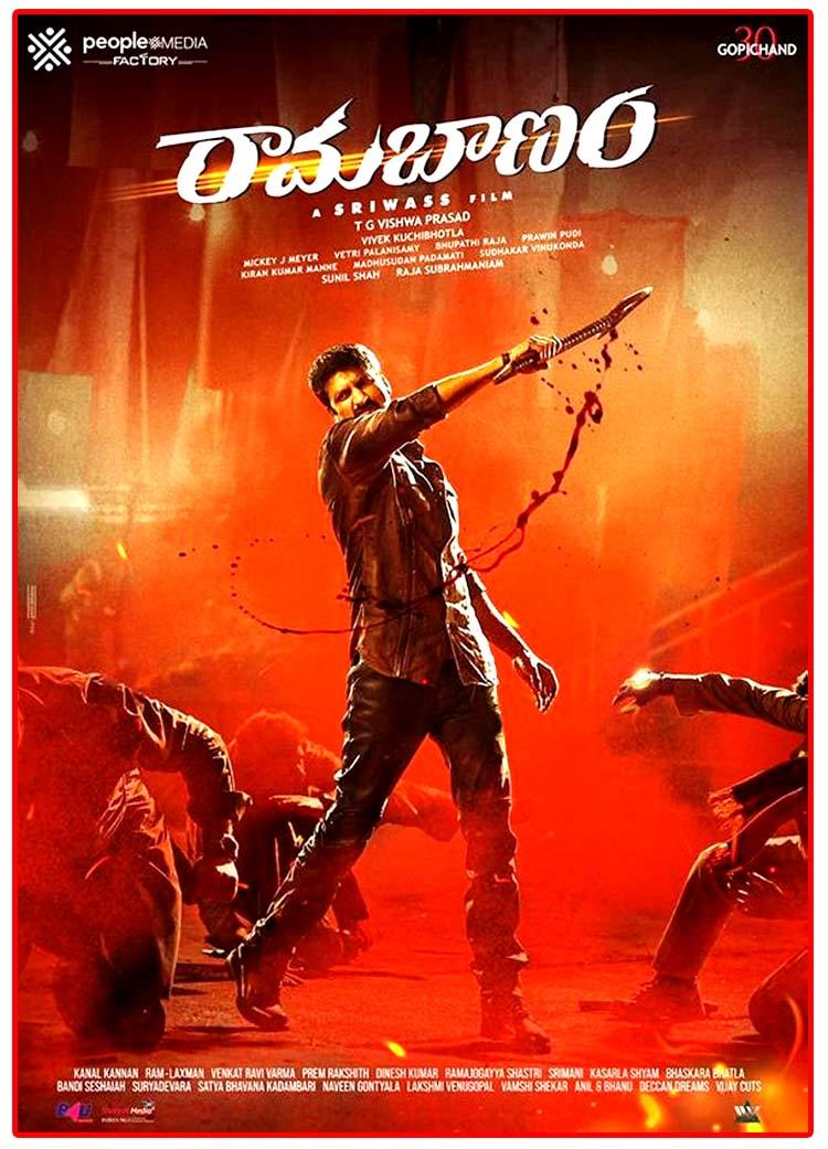 Rama Banam Movie Review