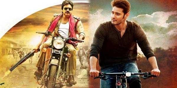 Sardaar & SM: Margin of Collections Gives Clarity