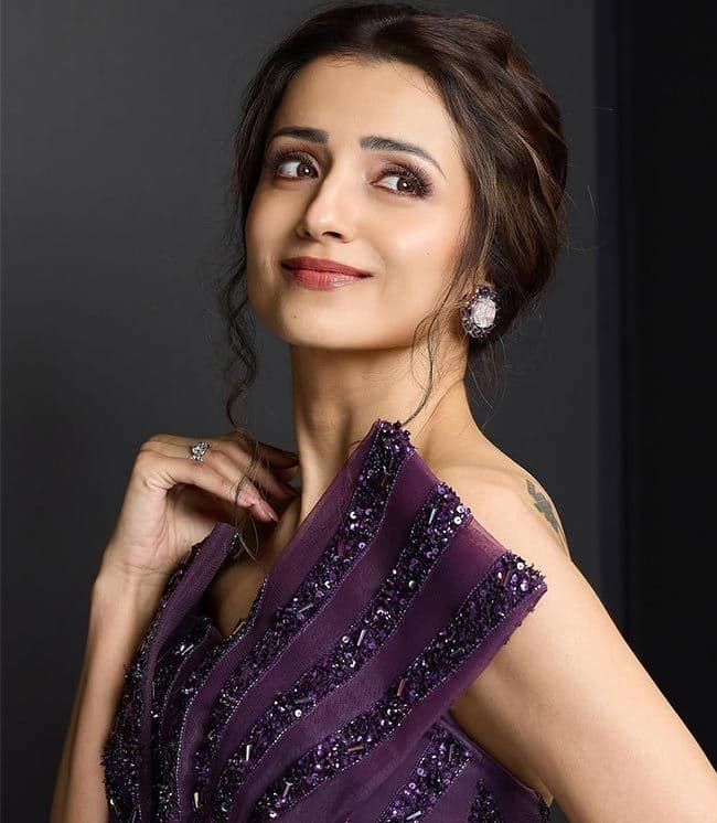 Trisha Krishnan Latest Comments About Her Marriage