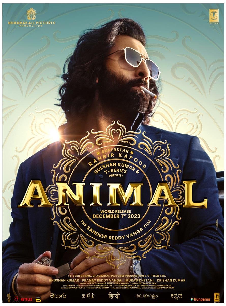Two Exciting Updates About Animal