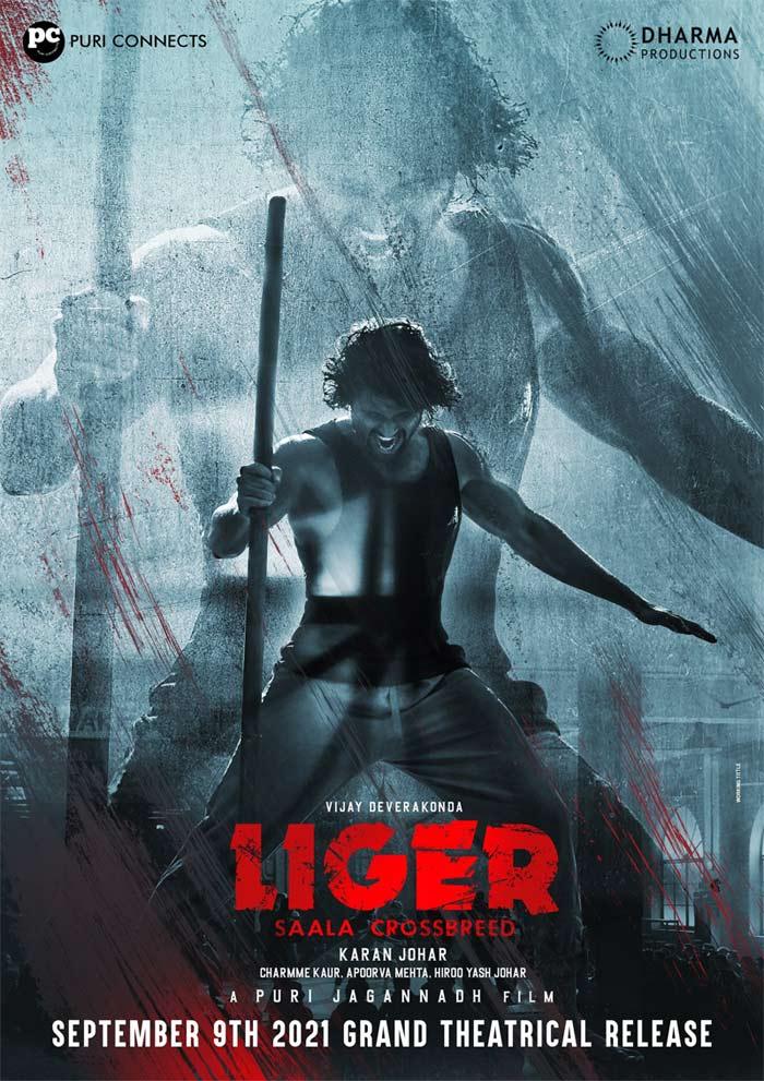 Liger's Connection With White Tiger!