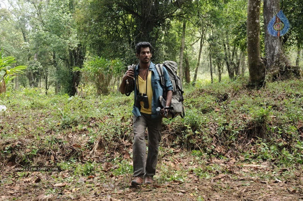 CineJosh gallery photo