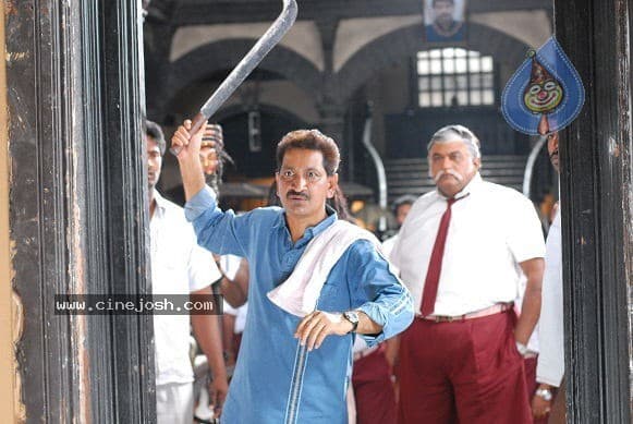 CineJosh gallery photo
