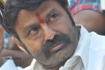 Balakrishna Latest Photos