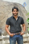 Naga Chaitanya Photos