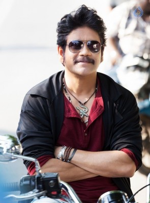 Nagarjuna New Still